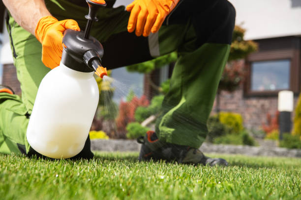 Best Cockroach Control Services  in Bonnie Brae, IL