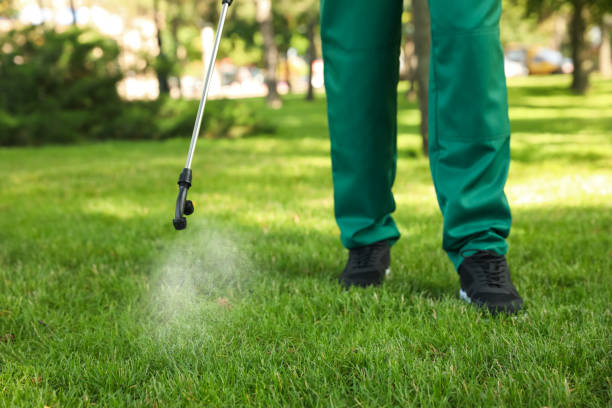 Best Pest Control Near Me  in Bonnie Brae, IL
