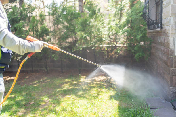 Insect Control in Bonnie Brae, IL