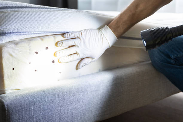 Best Best Pest Control Companies  in Bonnie Brae, IL
