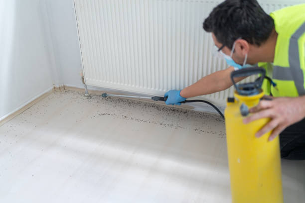 Best Best Pest Control Companies  in Bonnie Brae, IL