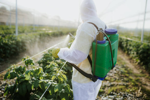 Flea Control Services in Bonnie Brae, IL